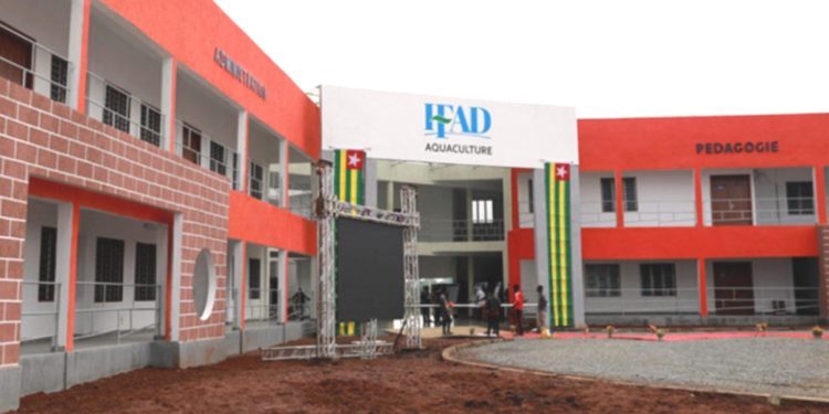 TOGO-Formation professionnelle : Ouverture des inscriptions dans les IFAD