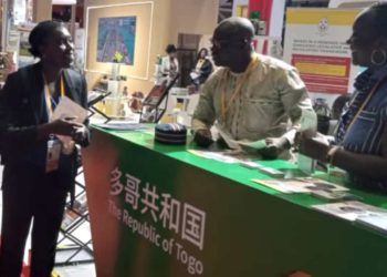 Le Togo expose ses produits, biens et services à la China International Import Expo 2023