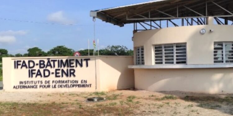 TOGO-Formation professionnelle : Début des inscriptions aux IFAD
