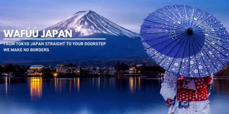 E-COMMERCE: « WAFUU.COM » expédie ses produits dans 37 nouveaux pays, dont le Togo